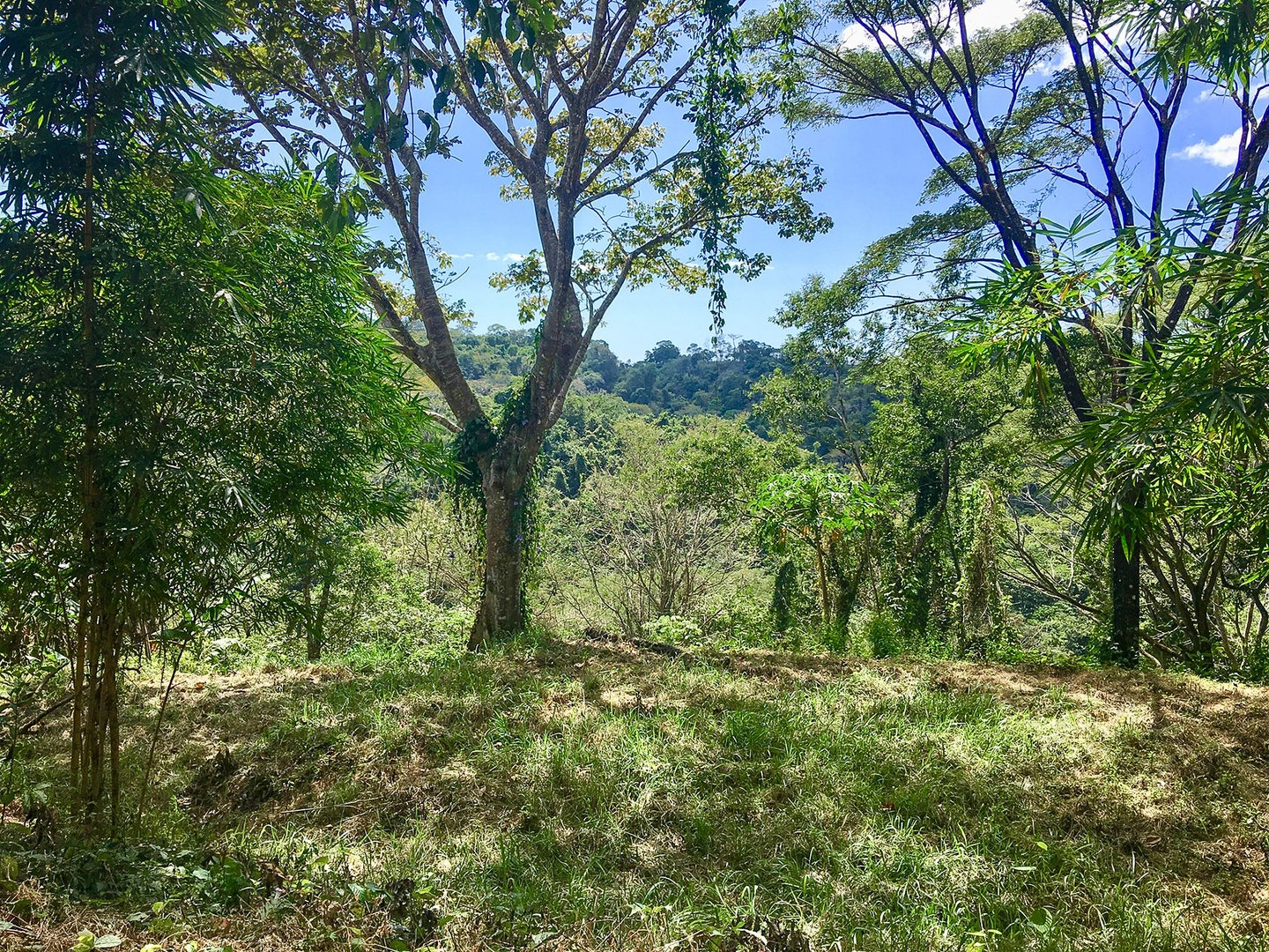 Property For Sale in Santiago Hills of Playa Hermosa , Santiago, Falcon Hills, Santiago, Santa Teresa, Cobano, Puntarenas, Puntarenas, Costa Rica 60111