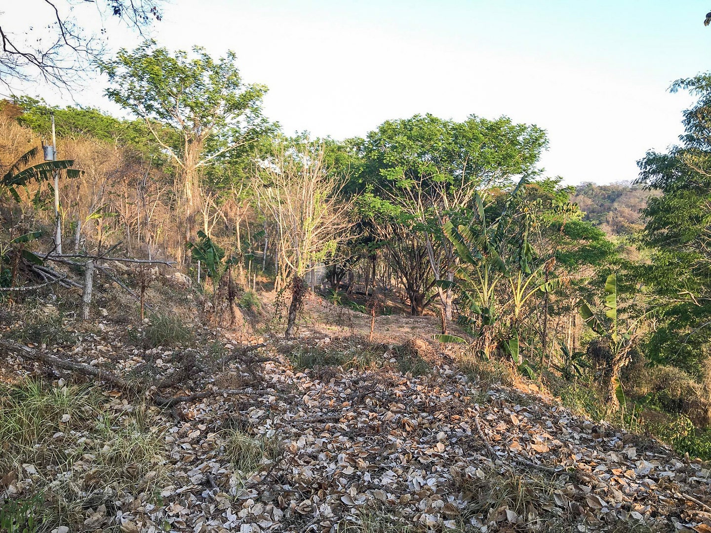 Property For Sale in Santiago Hills of Playa Hermosa , Santiago, Falcon Hills, Santiago, Santa Teresa, Cobano, Puntarenas, Puntarenas, Costa Rica 60111