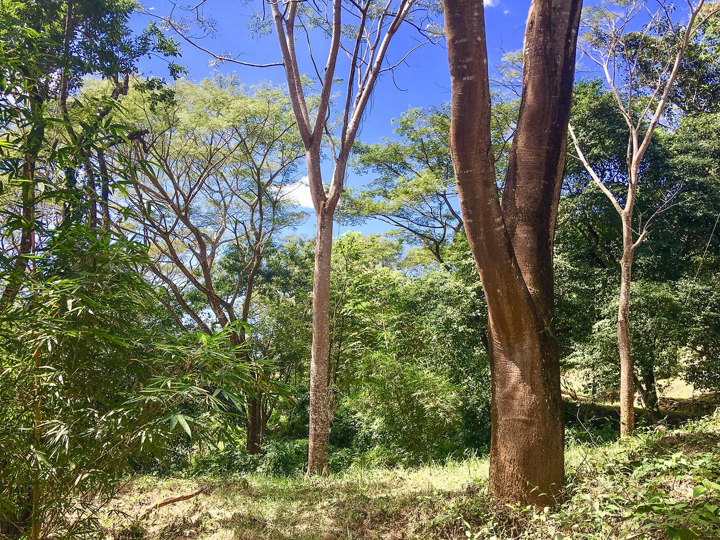 Property For Sale in Santiago Hills of Playa Hermosa , Santiago, Falcon Hills, Santiago, Santa Teresa, Cobano, Puntarenas, Puntarenas, Costa Rica 60111