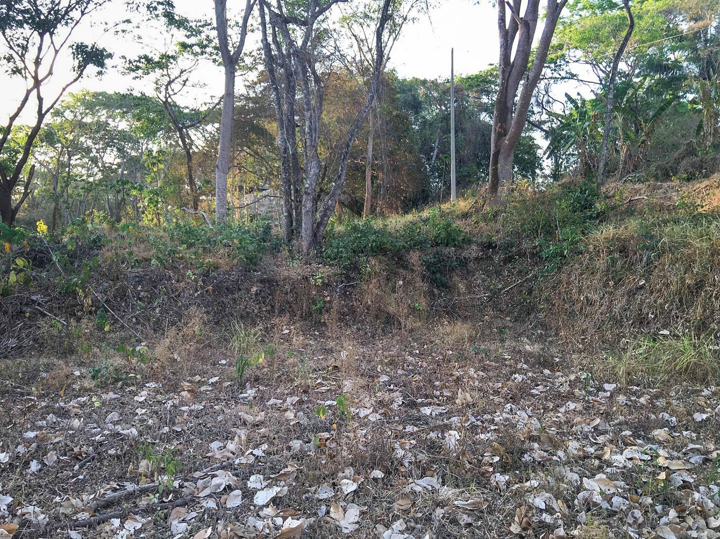 Property For Sale in Santiago Hills of Playa Hermosa , Santiago, Falcon Hills, Santiago, Santa Teresa, Cobano, Puntarenas, Puntarenas, Costa Rica 60111