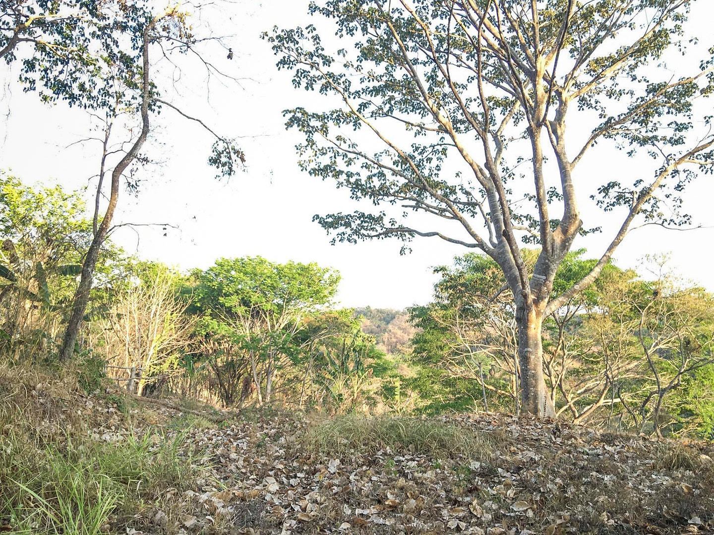 Property For Sale in Santiago Hills of Playa Hermosa , Santiago, Falcon Hills, Santiago, Santa Teresa, Cobano, Puntarenas, Puntarenas, Costa Rica 60111