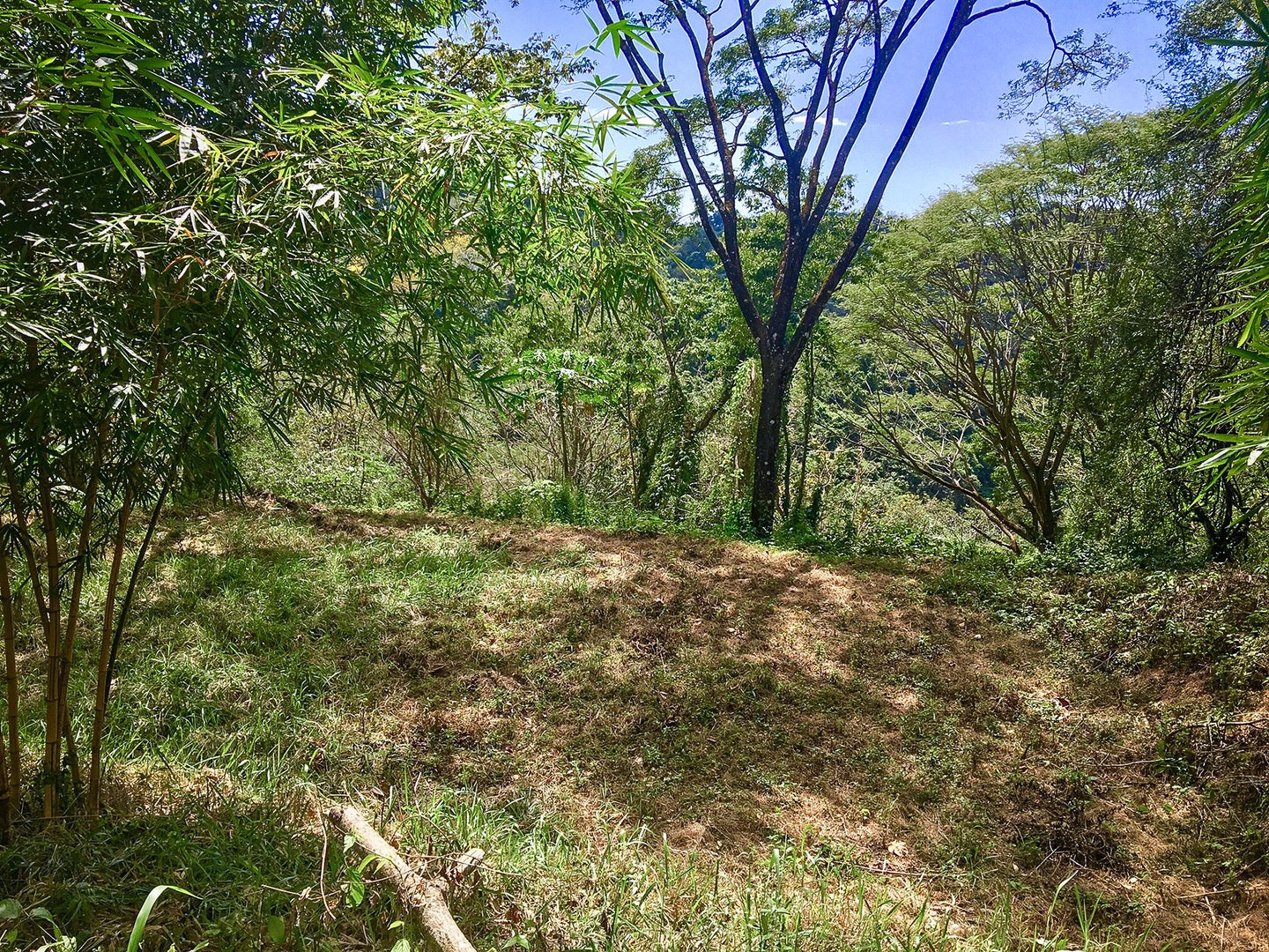 Property For Sale in Santiago Hills of Playa Hermosa , Santiago, Falcon Hills, Santiago, Santa Teresa, Cobano, Puntarenas, Puntarenas, Costa Rica 60111