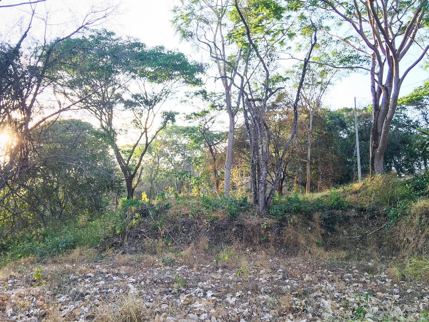 Property For Sale in Santiago Hills of Playa Hermosa , Santiago, Falcon Hills, Santiago, Santa Teresa, Cobano, Puntarenas, Puntarenas, Costa Rica 60111