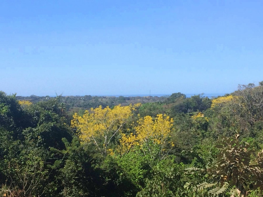 Property photo for Manzanillo Farm with Views , Manzanillo, Santa Teresa, Cobano, Puntarenas, Puntarenas, Costa Rica