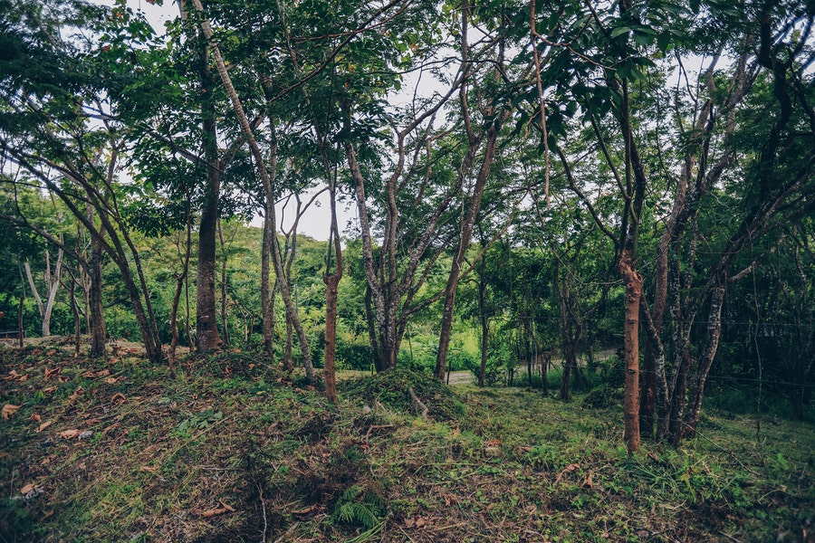 Property photo for Santiago Hills Lot , Santiago, Santa Teresa, Cobano, Puntarenas, Puntarenas, Costa Rica