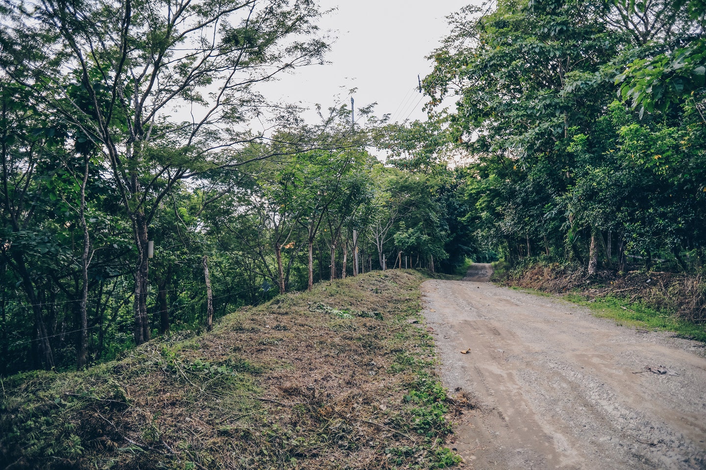 Santiago Hills Lot , Santiago, Santiago, Santa Teresa, Cobano, Puntarenas, Puntarenas, Costa Rica 60111