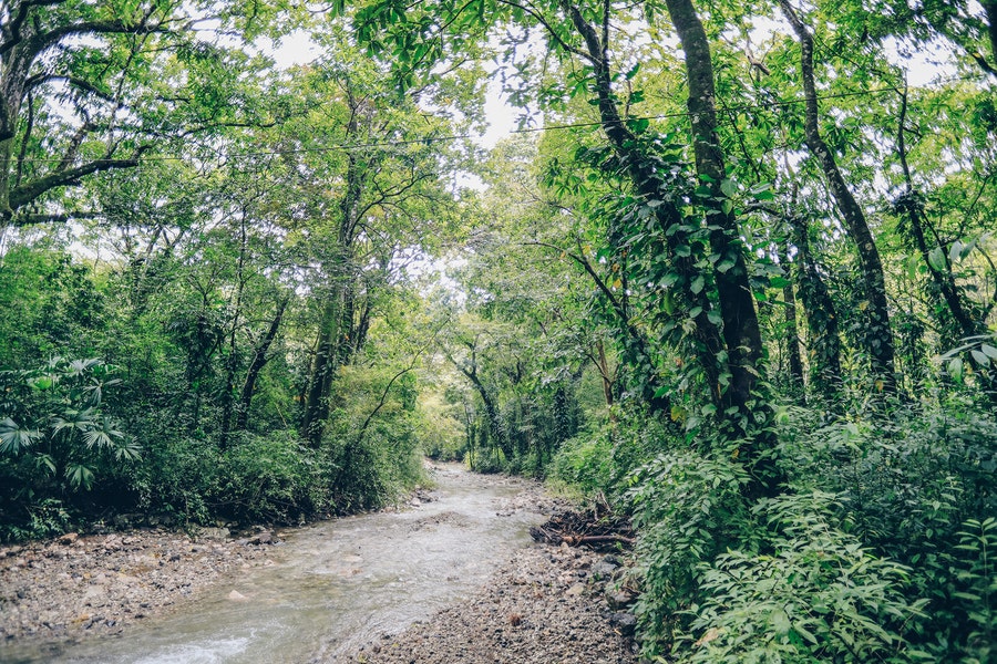 Property photo for Santa Teresa River Lot in the Forest, Santa Teresa, Cobano, Puntarenas, Puntarenas, Costa Rica