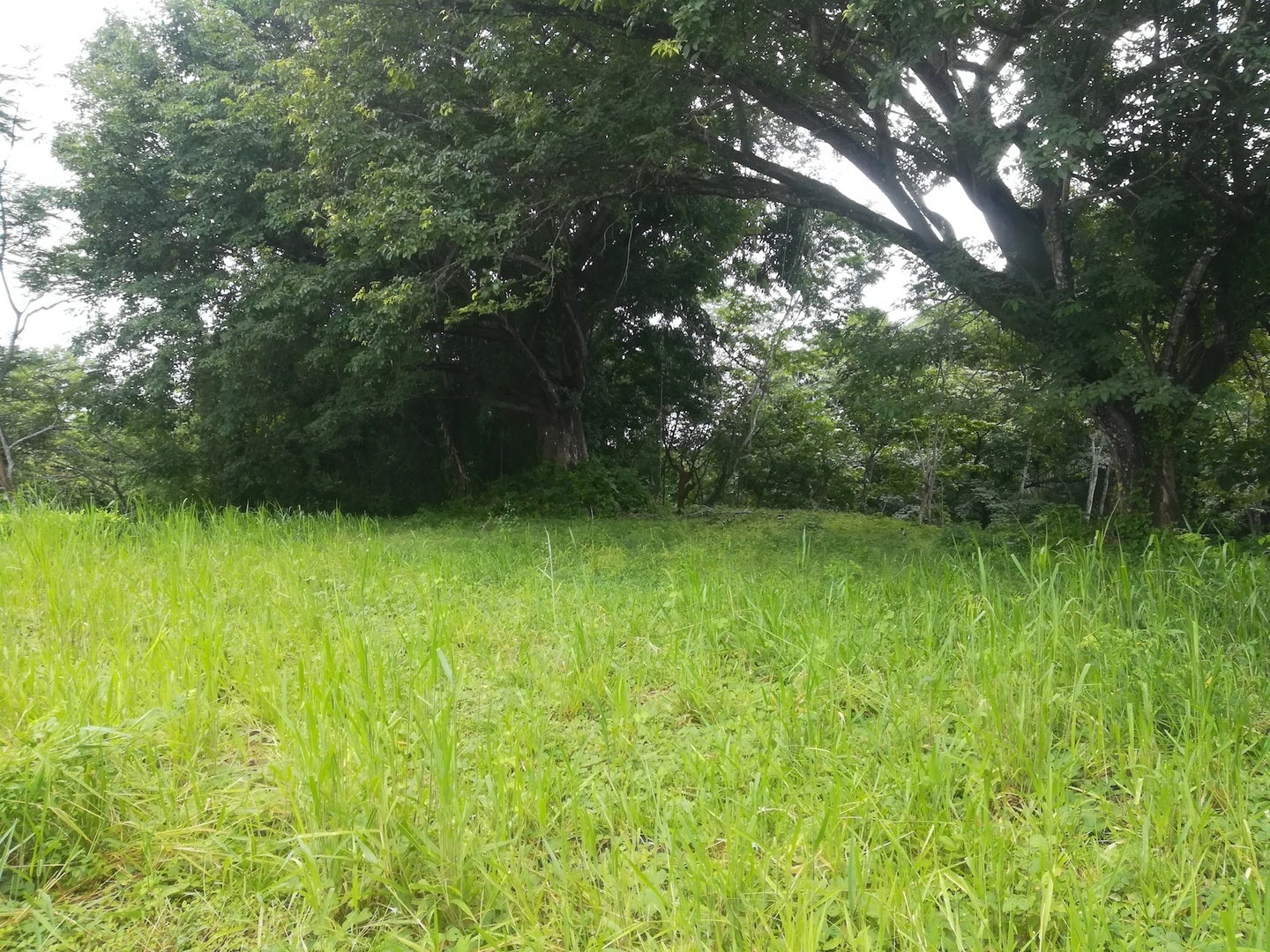 Santiago Hills Residential Project - Ocean View Lot 1, Santiago, Santiago, Santa Teresa, Cobano, Puntarenas, Puntarenas, Costa Rica 60111