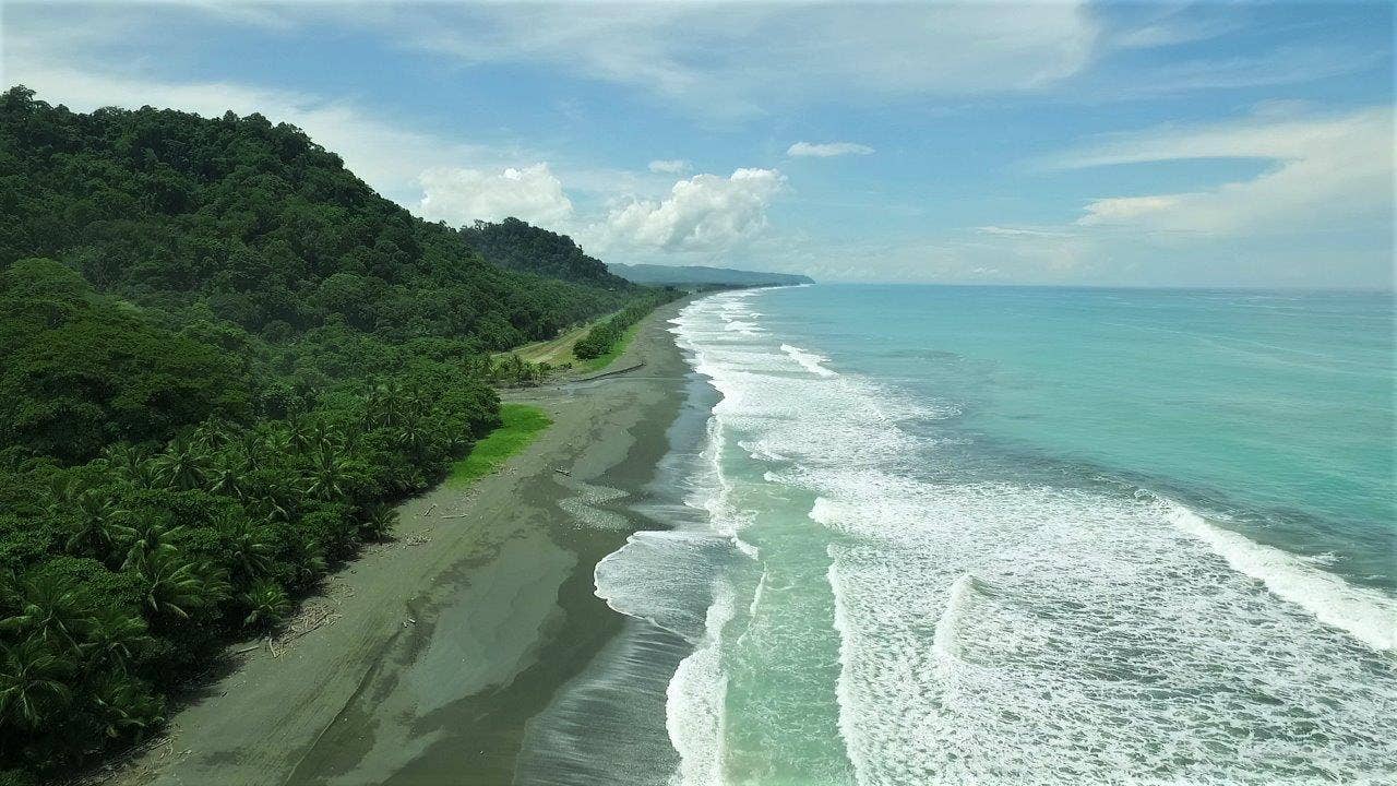113 Hectare Carate Rainforest Estate in the Osa Peninsula, Osa, Golfito, Golfito, Osa, Puntarenas, Costa Rica 60702 — foto 4 de 5