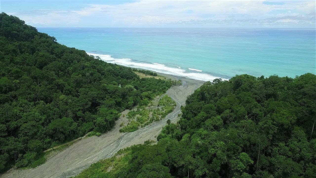 113 Hectare Carate Rainforest Estate in the Osa Peninsula, Osa, Golfito, Golfito, Osa, Puntarenas, Costa Rica 60702 — foto 3 de 5