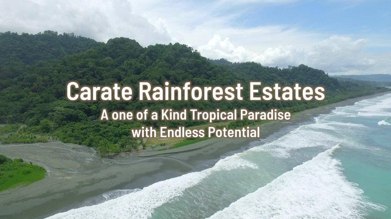 113 Hectare Carate Rainforest Estate in the Osa Peninsula, Osa, Golfito, Golfito, Osa, Puntarenas, Costa Rica 60702 — foto 5 de 5