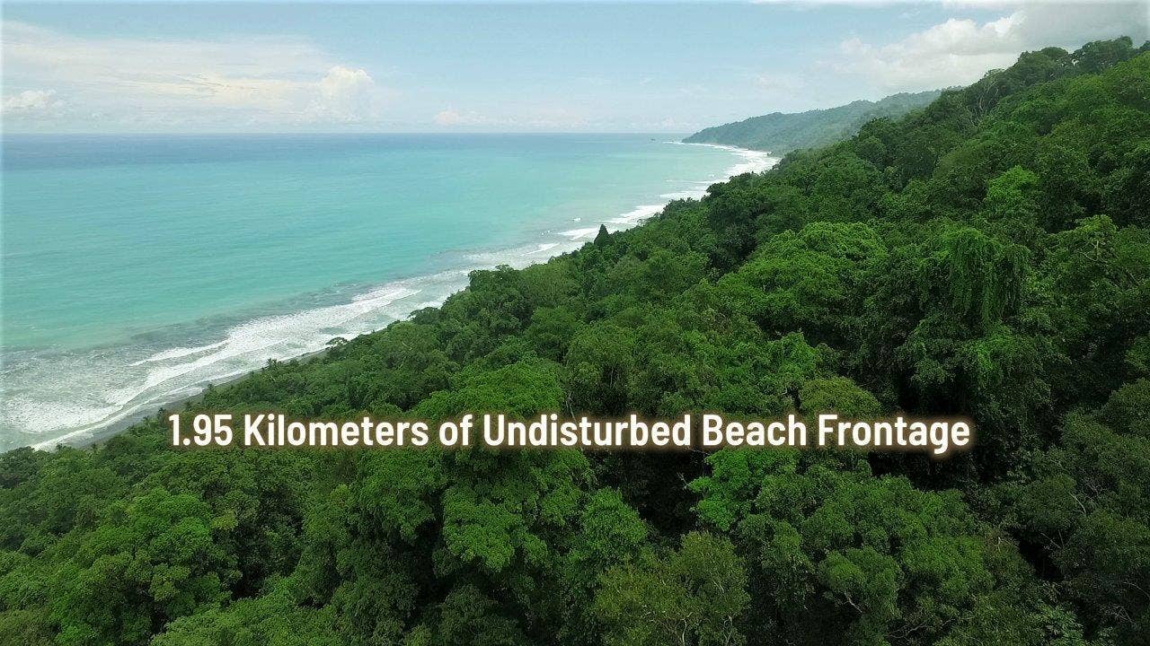 113 Hectare Carate Rainforest Estate in the Osa Peninsula — photo 8 of 19