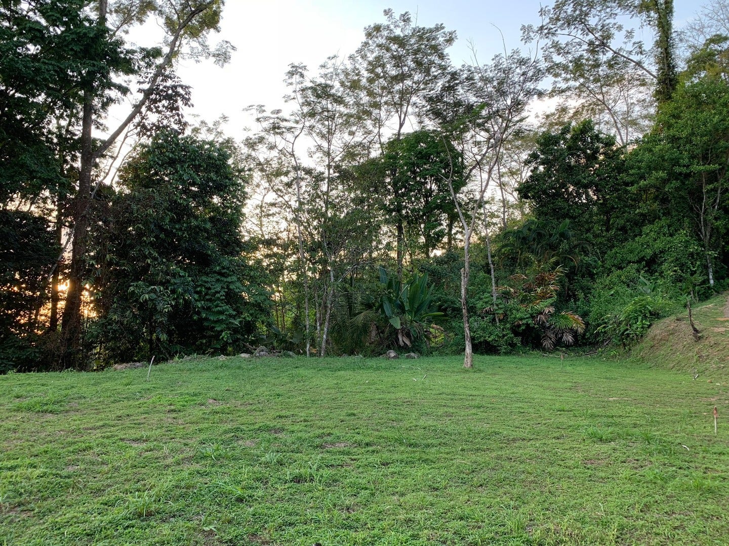 1.74 Acre Whales Tail and Ocean View Lot in Uvita — photo 4 of 16