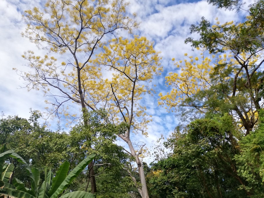 Property photo for Gorgeous Santiago Lot, Falcon Hills, Santiago, Santa Teresa, Cobano, Puntarenas, Puntarenas, Costa Rica
