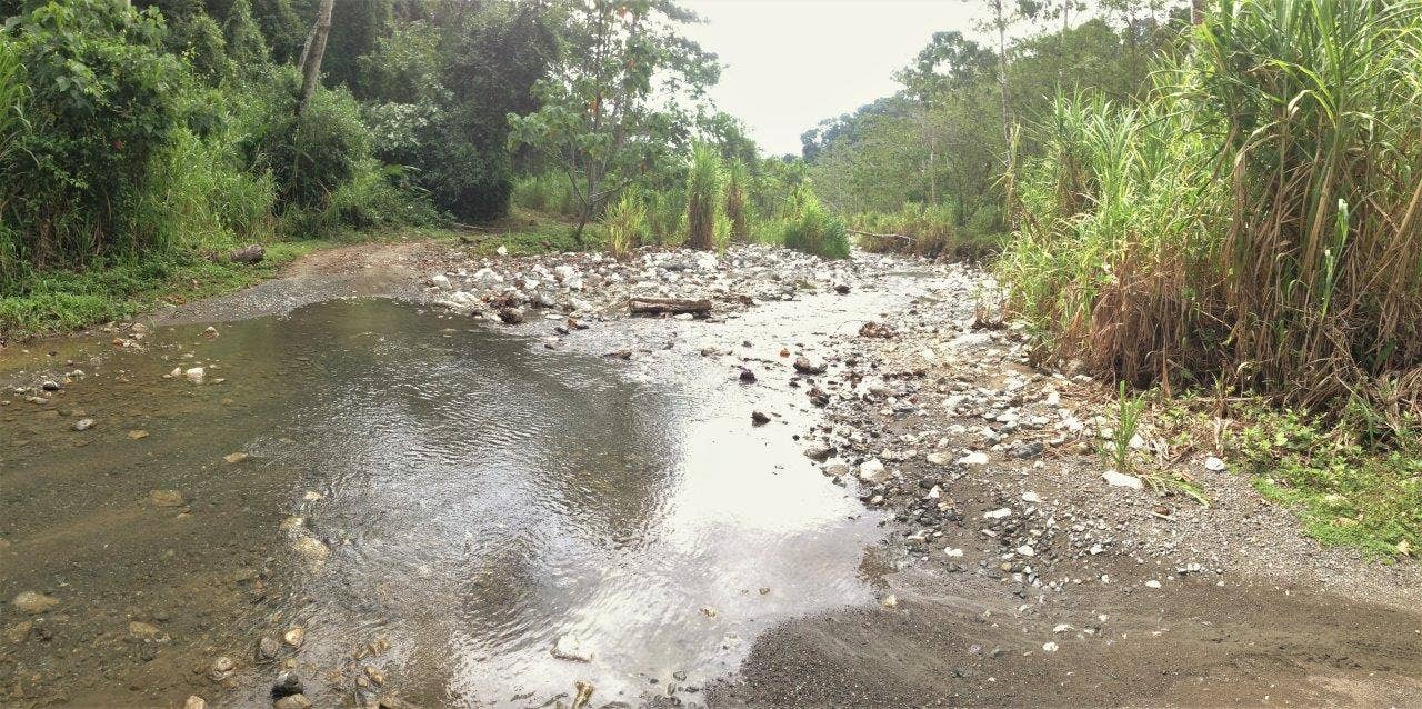 113 Hectare Carate Rainforest Estate in the Osa Peninsula — photo 17 of 19
