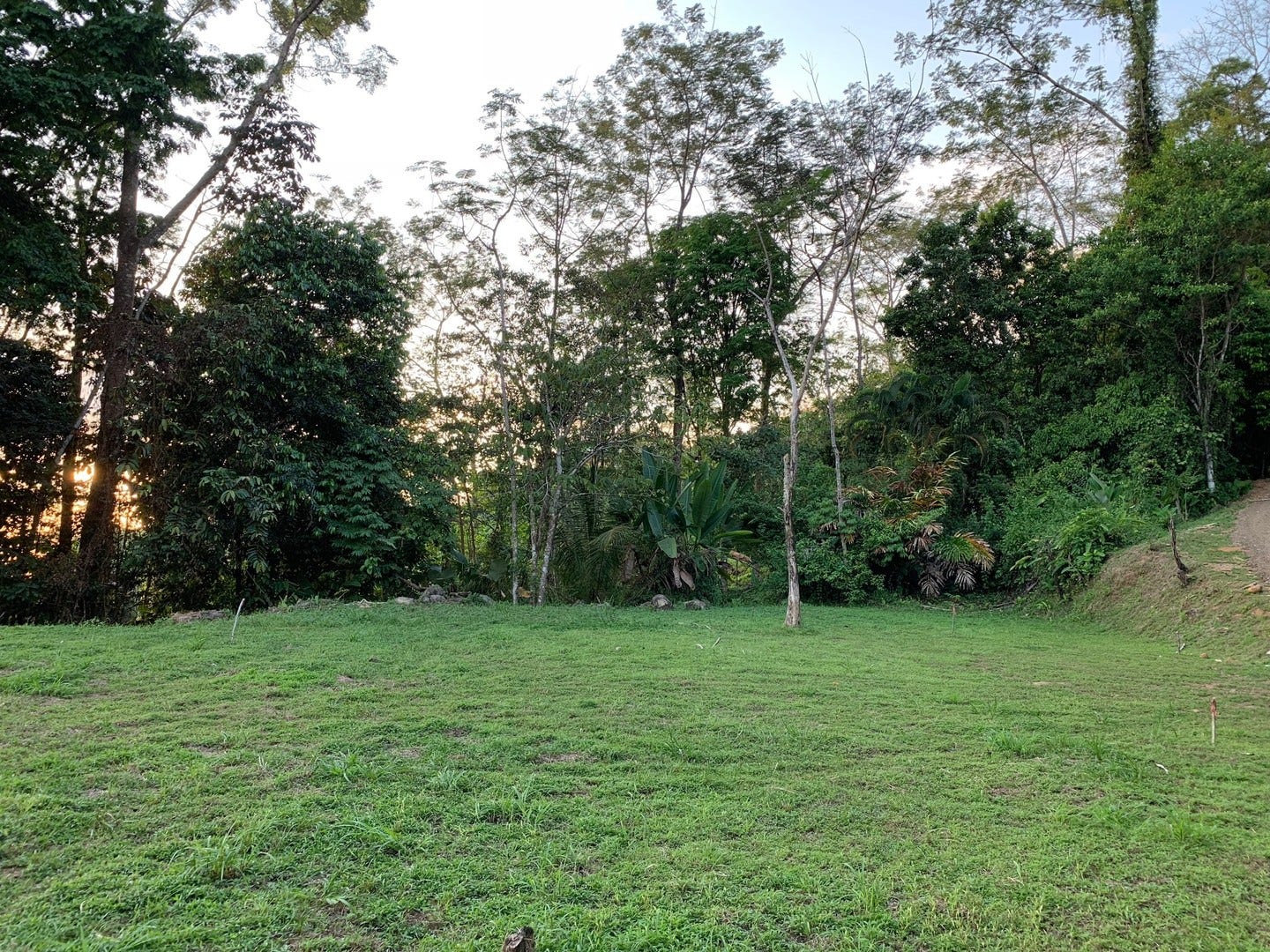1.74 Acre Whales Tail and Ocean View Lot in Uvita — photo 6 of 16