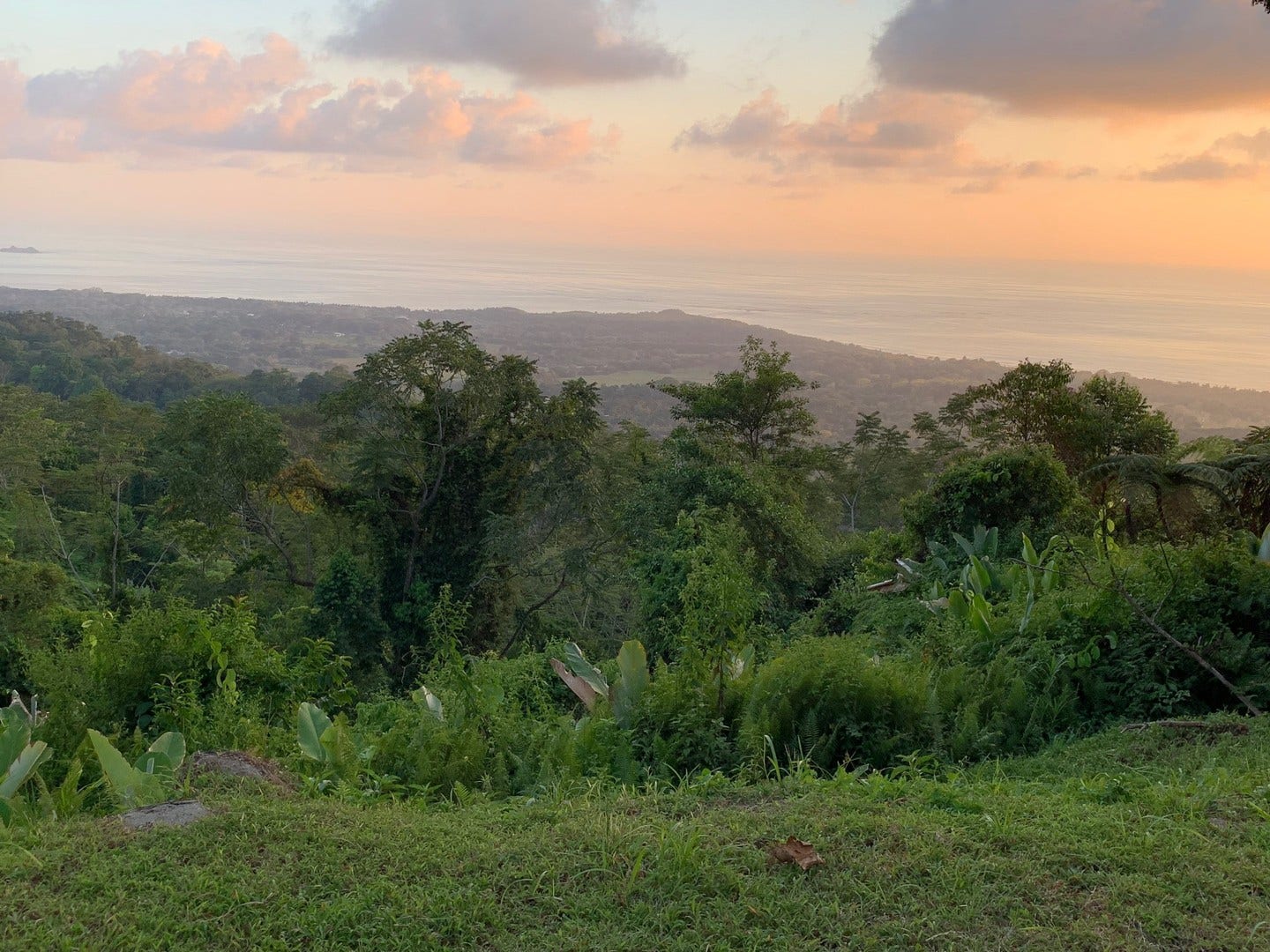1.74 Acre Whales Tail and Ocean View Lot in Uvita — photo 12 of 16