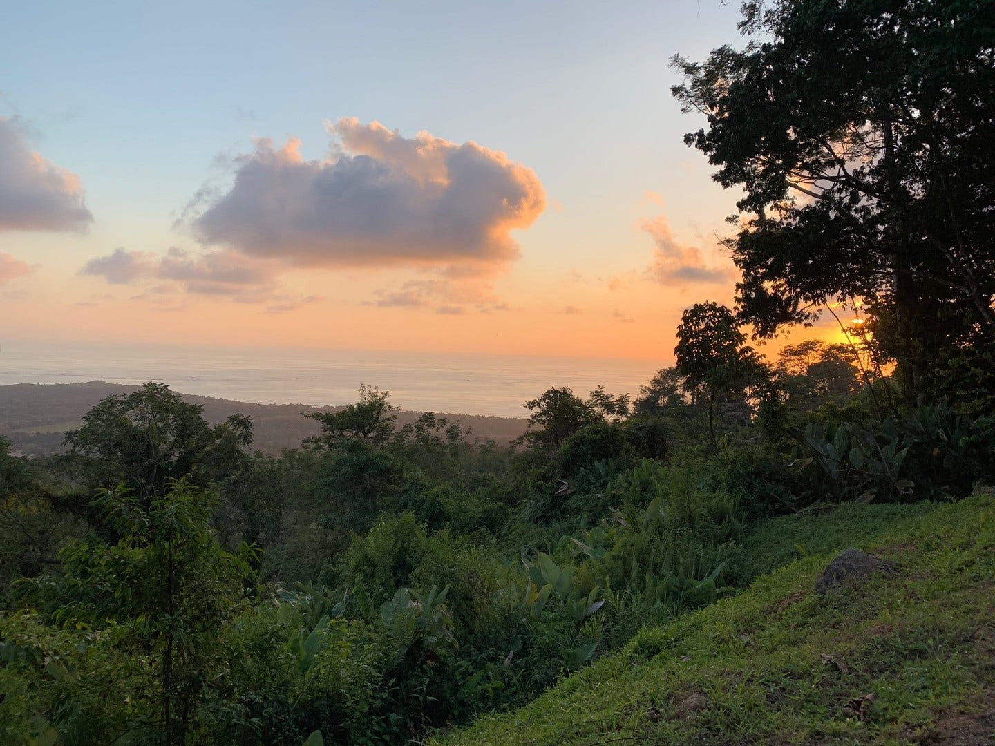 1.74 Acre Whales Tail and Ocean View Lot in Uvita — photo 13 of 16