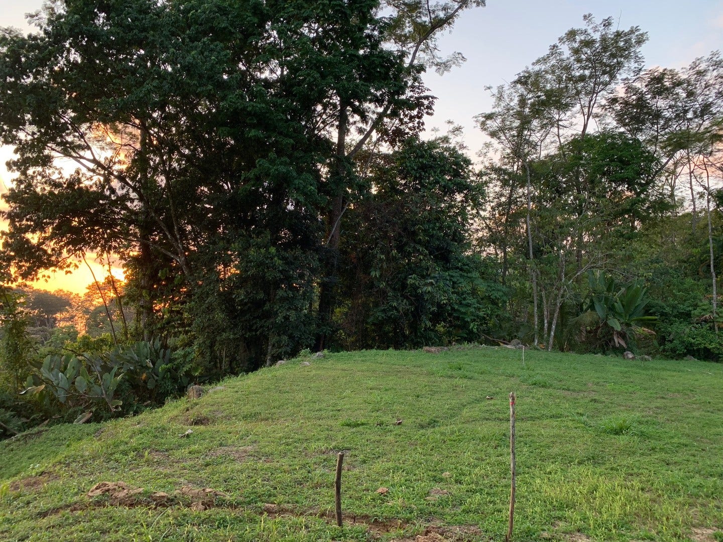 1.74 Acre Whales Tail and Ocean View Lot in Uvita — photo 14 of 16