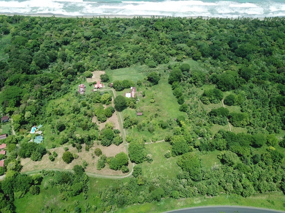 Land for Sale near Dominical — photo 5 of 19