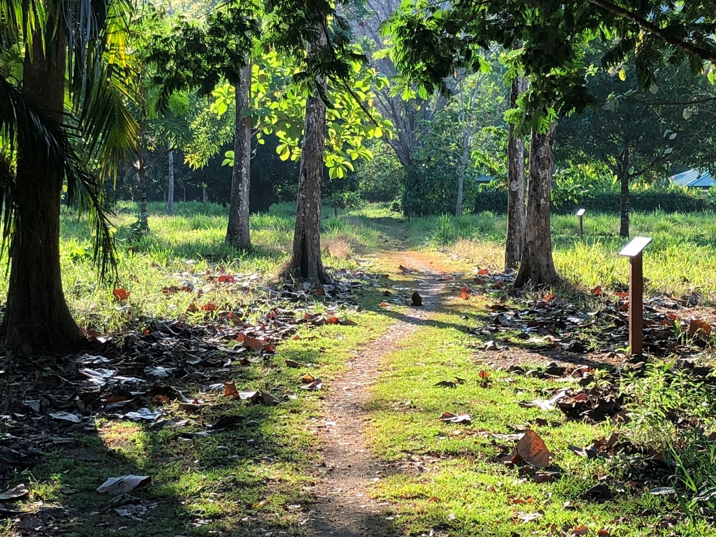 Land for Sale near Dominical — photo 12 of 19