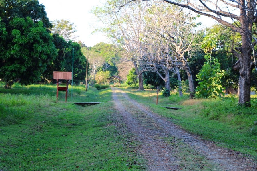 Land for Sale near Dominical — photo 13 of 19