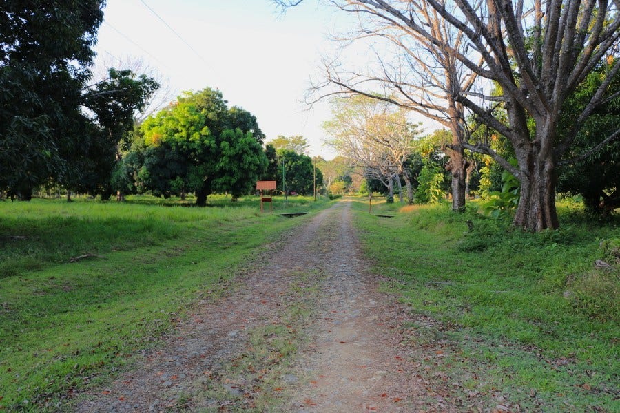 Land for Sale near Dominical — photo 14 of 19