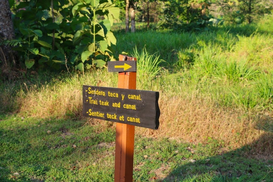 Land for Sale near Dominical — photo 15 of 19