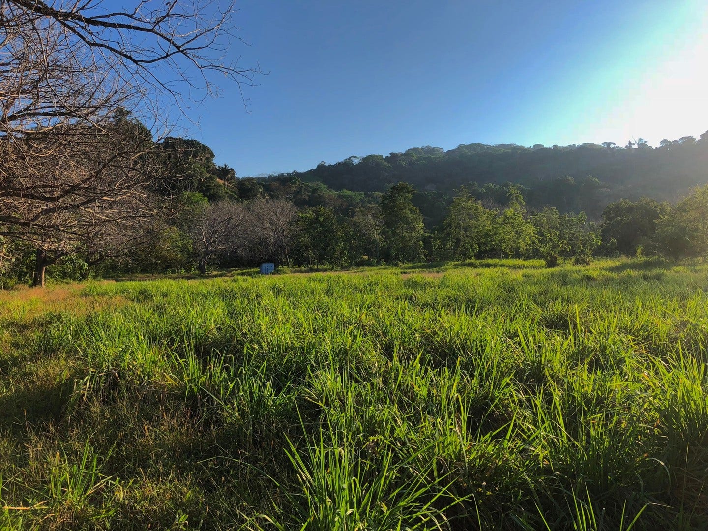 Land for Sale near Dominical — photo 19 of 19