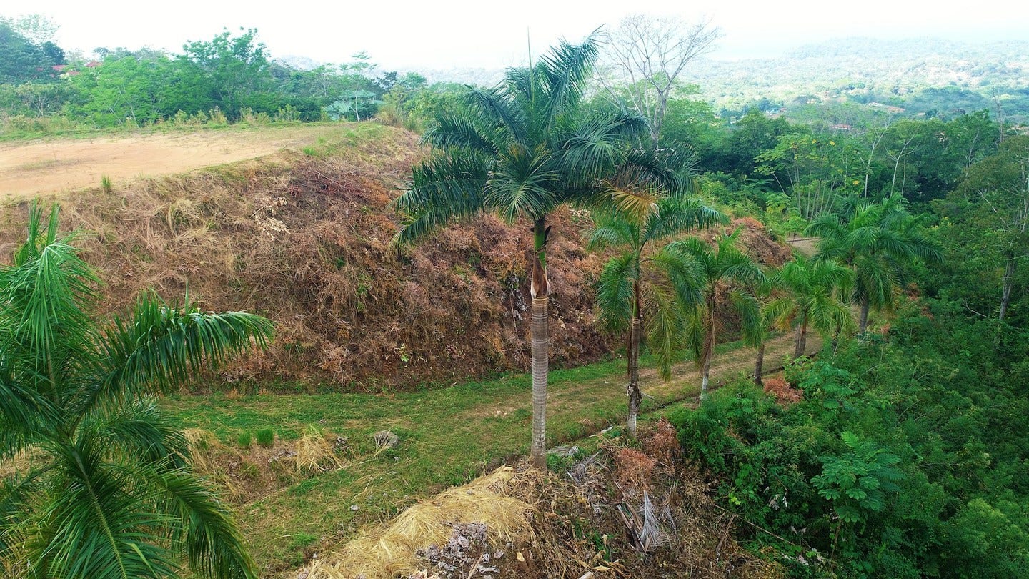 Ojochal 360 Ocean View Gated Community — photo 12 of 19