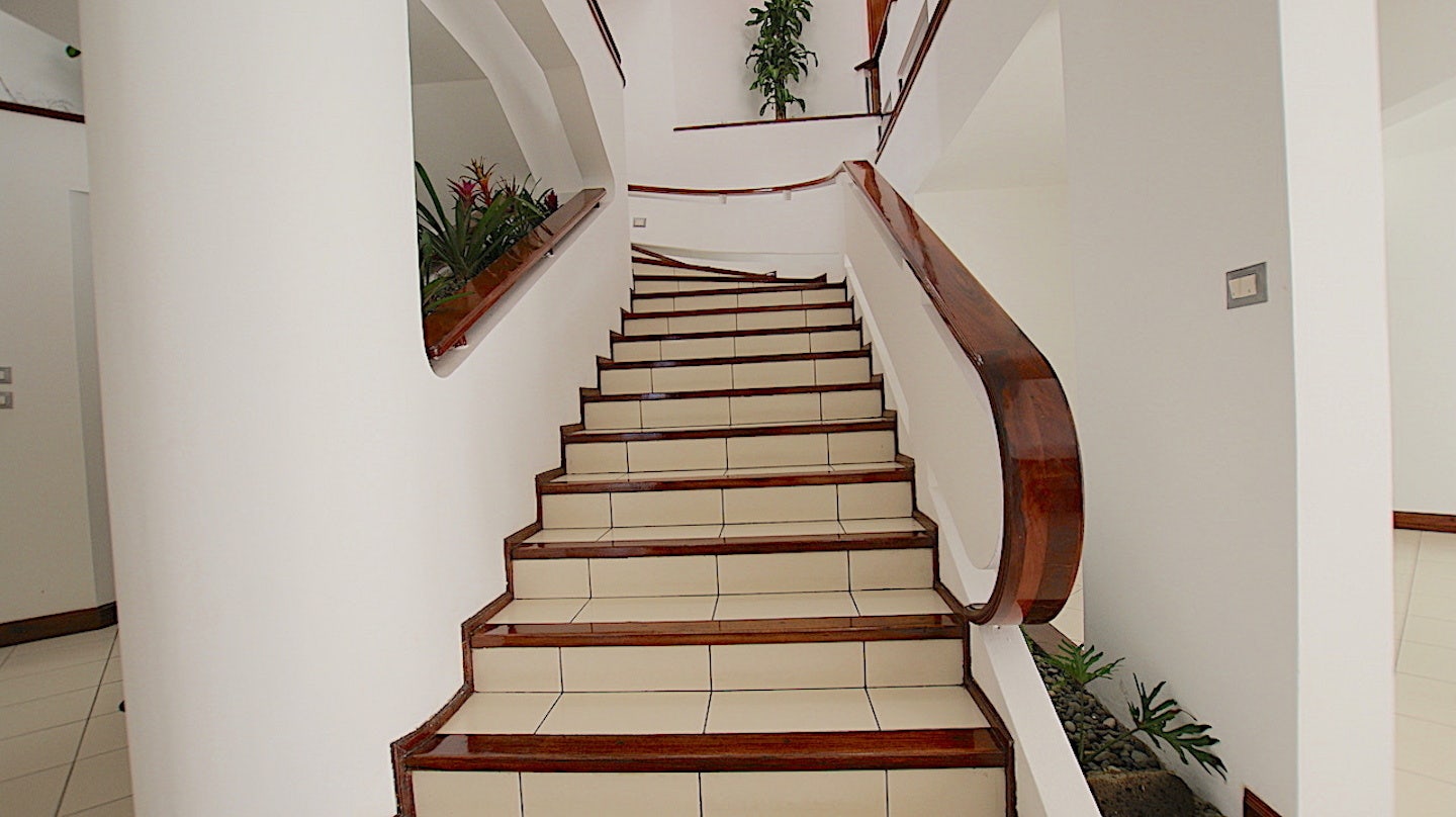 Rohrmoser 5 Rooms Commercial Property — photo 3 of 19