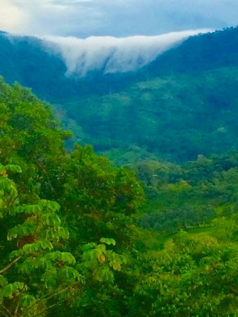 Platanillo Waterfall and River Luxury Home — photo 10 of 19