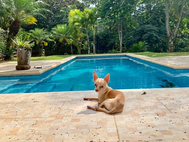 Platanillo Waterfall and River Luxury Home — photo 15 of 19