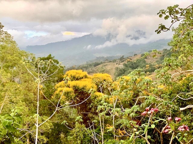 Platanillo Waterfall and River Luxury Home — photo 17 of 19