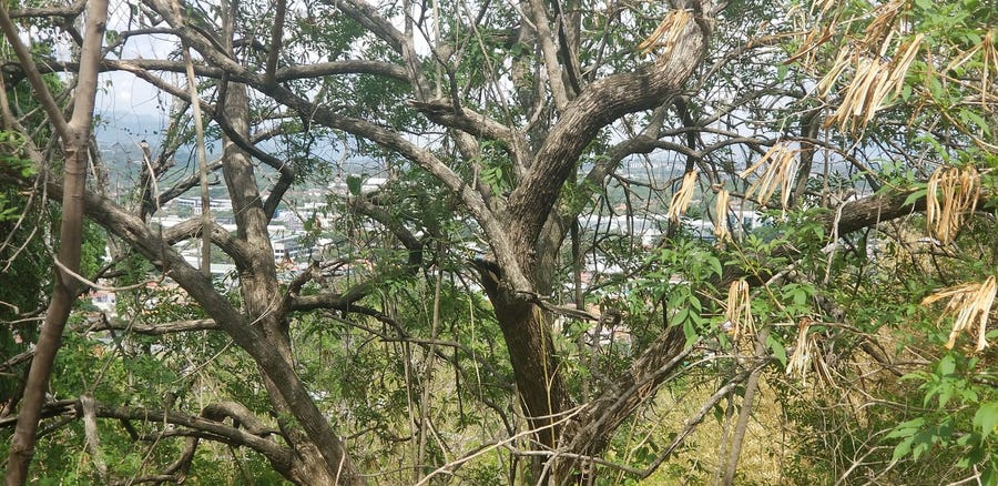 Property photo for Villa Real Residential Lot with Views, Villa Real, Santa Ana, Pozos, Santa Ana, San Jose, Costa Rica