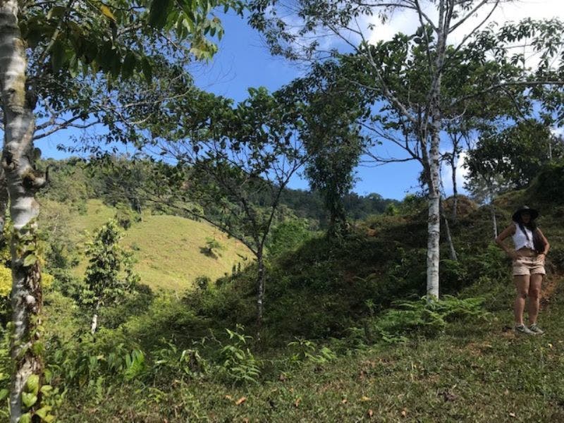 Uvita Ridge Top Ocean and Mount Chirripo View — photo 4 of 19