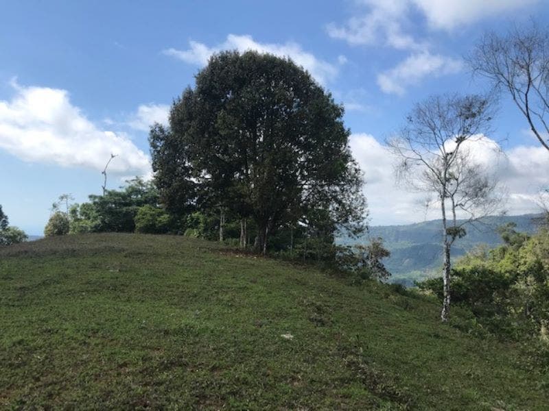 Uvita Ridge Top Ocean and Mount Chirripo View — photo 10 of 19
