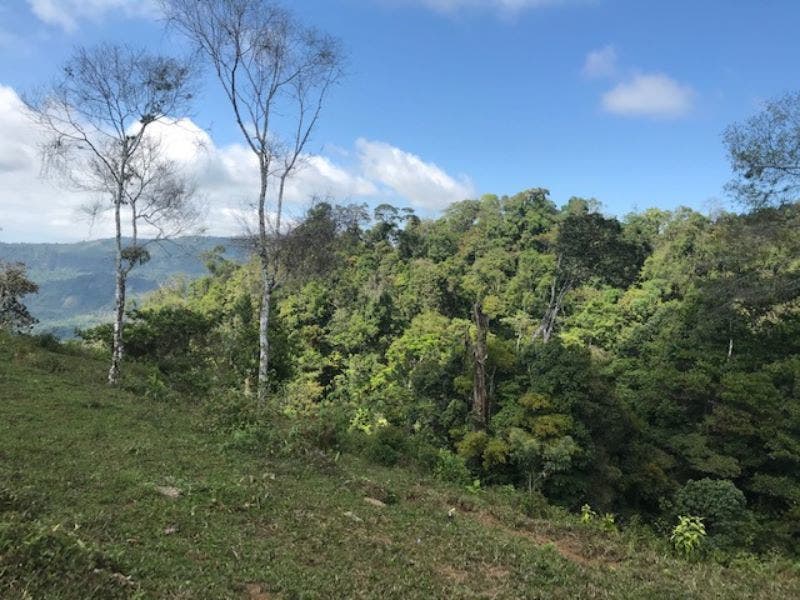 Uvita Ridge Top Ocean and Mount Chirripo View — photo 11 of 19