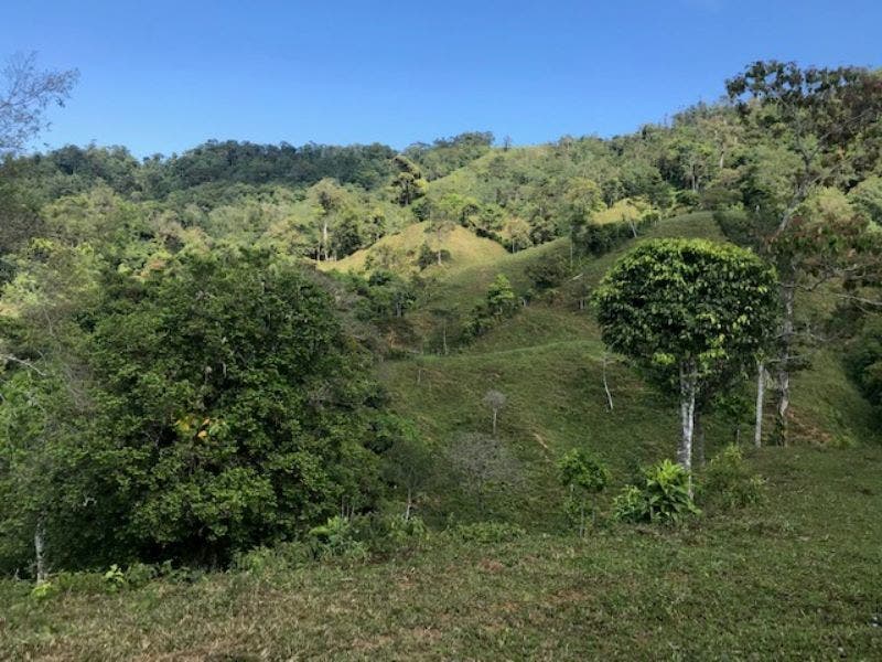 Uvita Ridge Top Ocean and Mount Chirripo View — photo 12 of 19