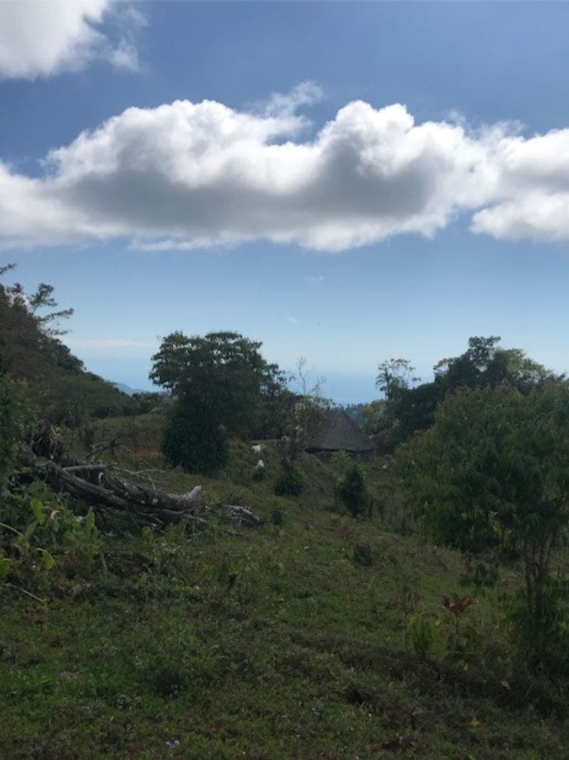 Uvita Ridge Top Ocean and Mount Chirripo View — photo 13 of 19