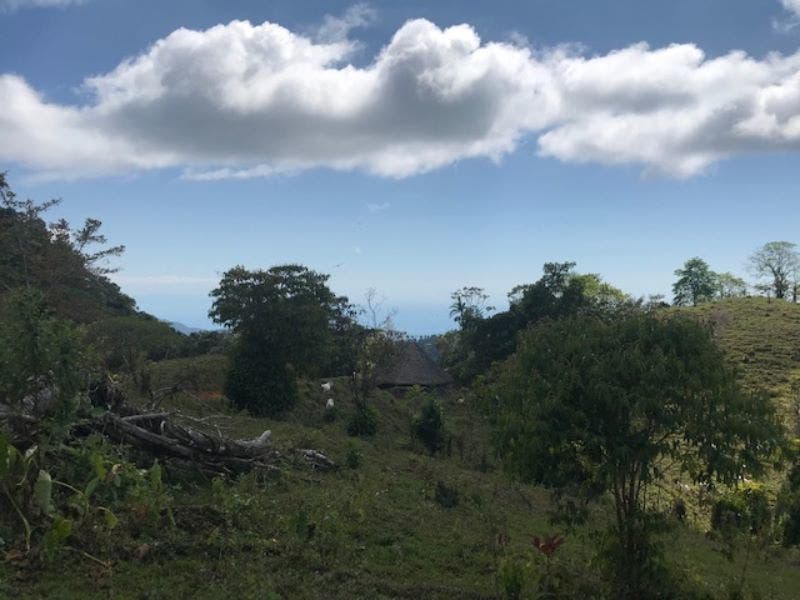 Uvita Ridge Top Ocean and Mount Chirripo View — photo 14 of 19