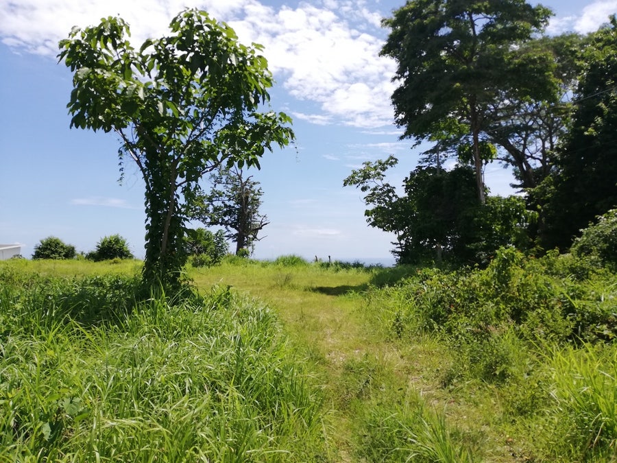 Property photo for Large Ocean View Lot Santa Teresa, Santa Teresa, Cobano, Puntarenas, Puntarenas, Costa Rica