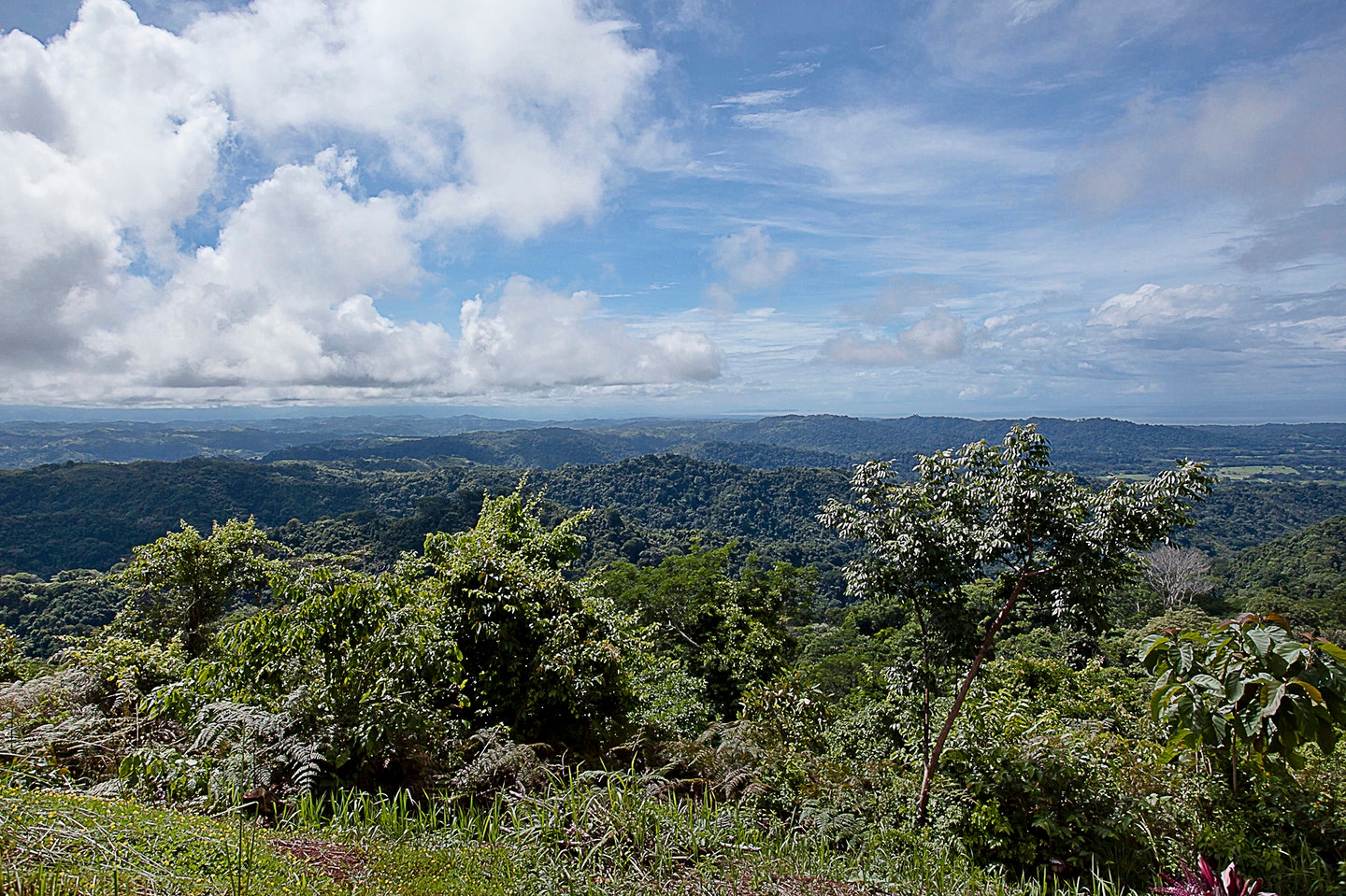 Extraordinary 242 Acre Ocean View Farm Multiple Homesites near Playa Hermosa — photo 3 of 19
