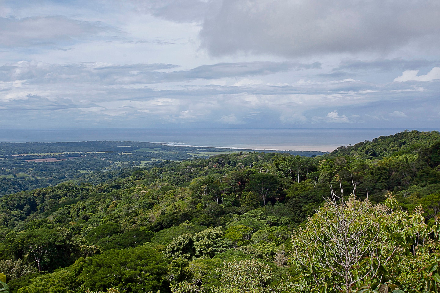 Extraordinary 242 Acre Ocean View Farm Multiple Homesites near Playa Hermosa — photo 4 of 19