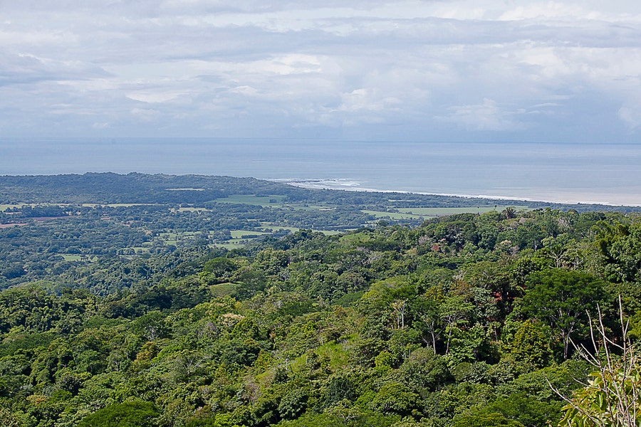 Property photo for Extraordinary 242 Acre Ocean View Farm Multiple Homesites near Playa Hermosa, Playa Hermosa, Jaco, Garabito, Puntarenas, Costa Rica