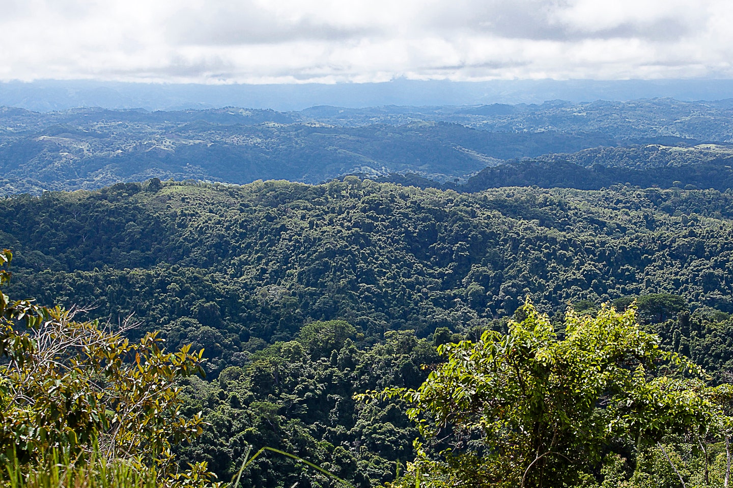 Extraordinary 242 Acre Ocean View Farm Multiple Homesites near Playa Hermosa — photo 5 of 19