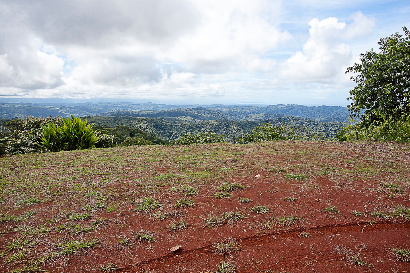 Extraordinary 242 Acre Ocean View Farm Multiple Homesites near Playa Hermosa — photo 7 of 19