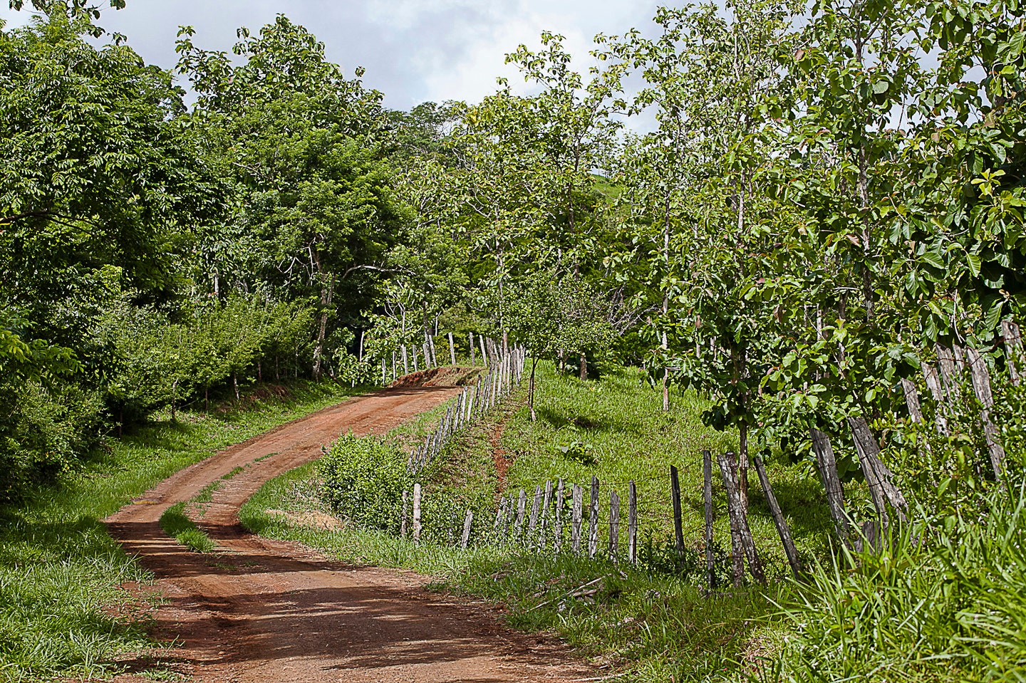 Extraordinary 242 Acre Ocean View Farm Multiple Homesites near Playa Hermosa — photo 8 of 19