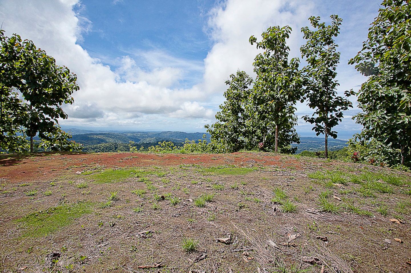 Extraordinary 242 Acre Ocean View Farm Multiple Homesites near Playa Hermosa — photo 9 of 19