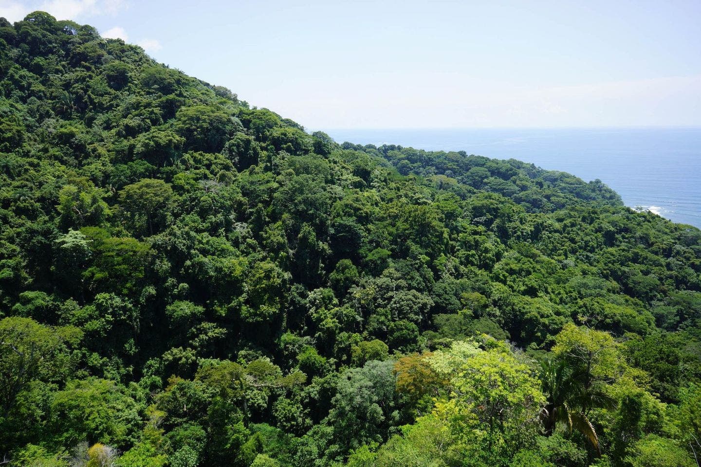 Tranquilo Punta Leona — photo 4 of 8